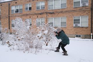 A young woman takes photos of a snow-covered hydrangea bush.