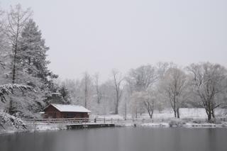 Haverford College pond, with the trees on the far bank dusted in snow.