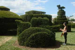 A young woman in a topiary garden.