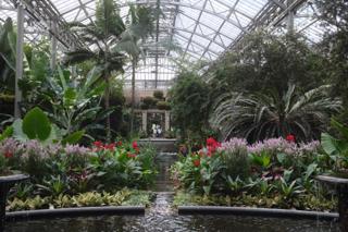 A greenhouse interior.