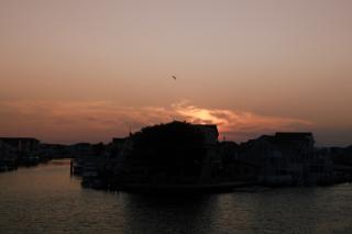 Sunset along the canals of Manahawkin, NJ. A bird in silhouette flies above a house.