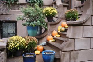 Pumpkins and gourds decorating the steps of a New York apartment building