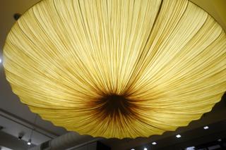 A massive light roof-mounted fixture.