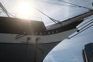 Sunlight glancing off the bow of the 1885 Tall Ship Wavertree, docked at New York’s South Street Seaport.