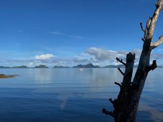 An ocean view with multiple islands on the horizon line, with a small boat in the distance. In the foreground is a silhouette of a tree.