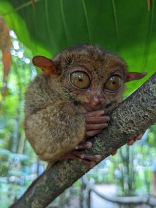 A series of small brown hills recedes into the horizon.