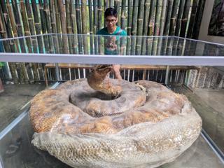 A series of small brown hills recedes into the horizon.