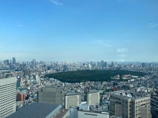 A view of a very green park, surrounded on all sides by buildings.