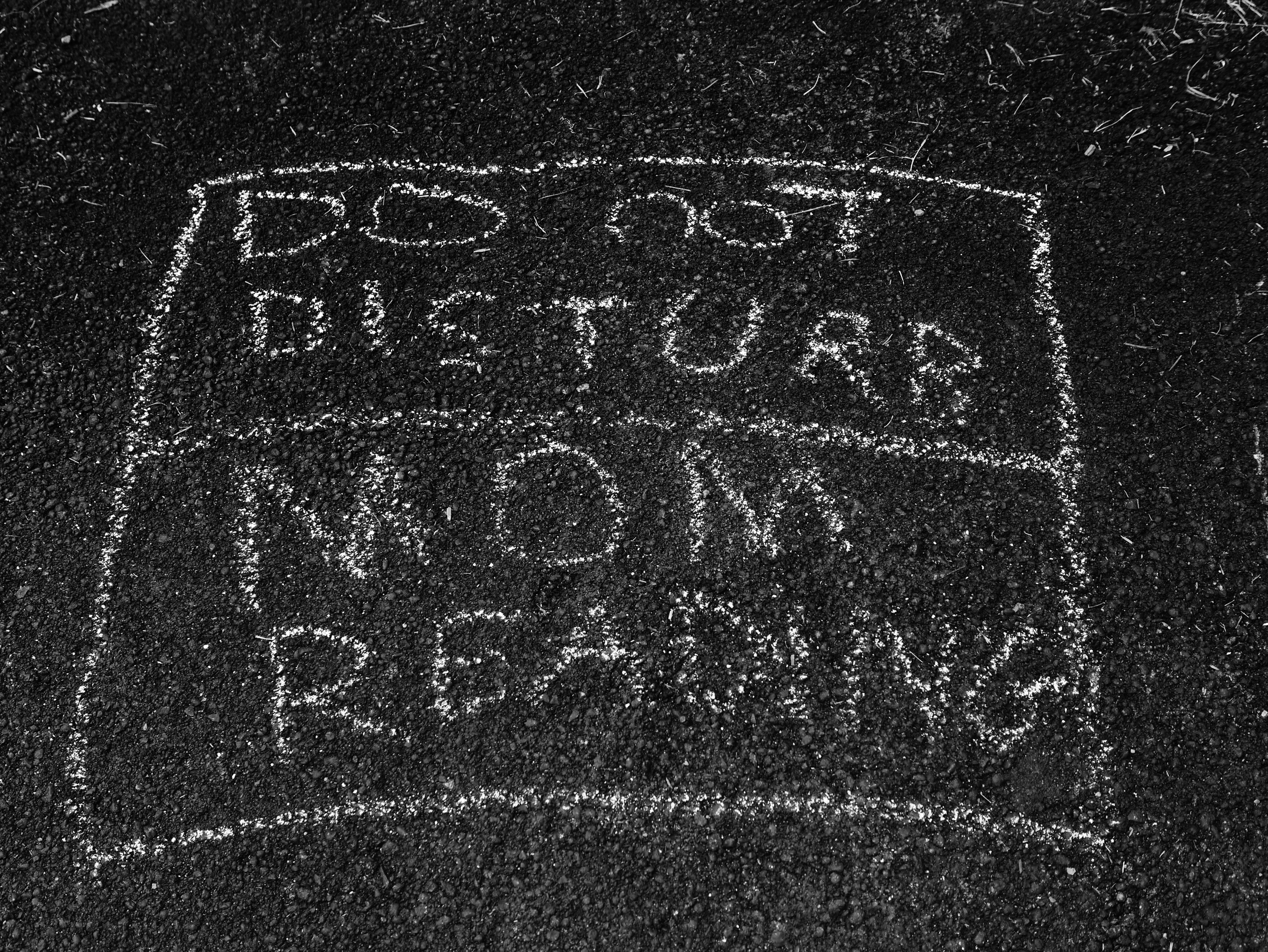 Stern warning Chalk sign reading: Do Not Disturb