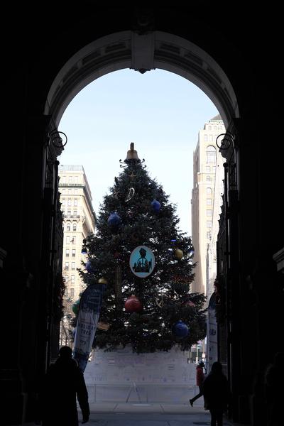 City Hall Christmas tree