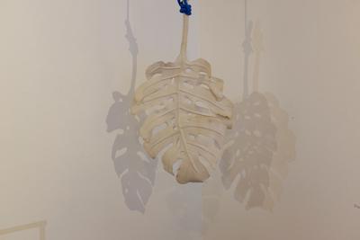 Sculpted leaf suspended from the roof, casting two shadows on the wall behind it.