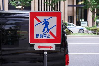Red-bordered crosswalk sign with an illustrated blue silhouette of a person wearing a hat.