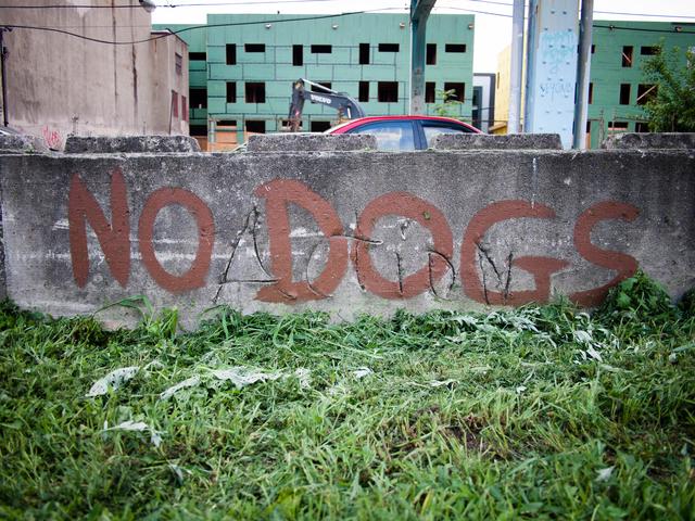 "No Dogs" spray-painted on a concrete divider.