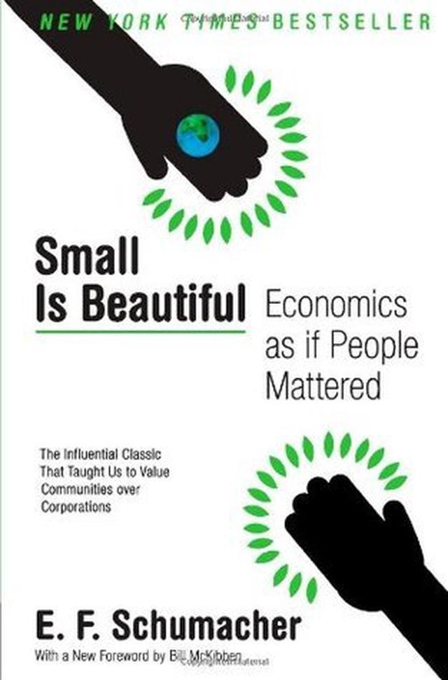 Small Is Beautiful cover image