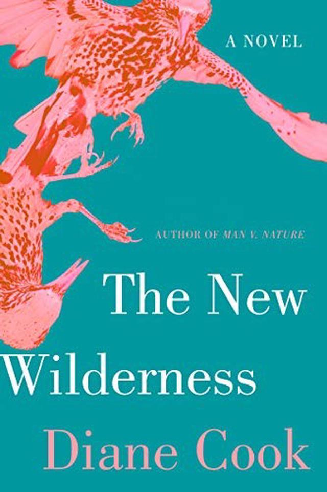 The New Wilderness cover image
